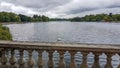 White swan in Hyde Park lake. London, UK Royalty Free Stock Photo