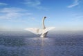 White swan on the lake Royalty Free Stock Photo