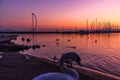 White swan next to a harbor with boats anchored during sunset