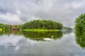 white swan in Pang oung lake with background of pine forest in Mae Hong Son , Thailand, Pang oung is popular travel destination in