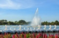 White Swan Pedal Boat in the Lake Royalty Free Stock Photo