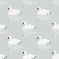 White swan seamless background