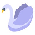 White swan swimming peacefully in isometric view