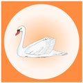 The white swan symbol in orange square frame;; Royalty Free Stock Photo