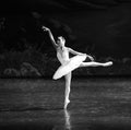 The white swan in the water-The second act evening Lakeside-ballet Swan Lake