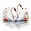 2 white swans Valentine's day watercolor illustation style on white background Royalty Free Stock Photo