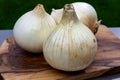 White sweet doux french salad onions vegetables on food market close up Royalty Free Stock Photo