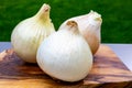 White sweet doux french salad onions vegetables on food market close up Royalty Free Stock Photo