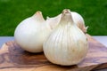 White sweet doux french salad onions vegetables on food market close up Royalty Free Stock Photo