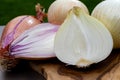 White sweet doux french salad and purple shallots onions vegetables on food market close up