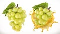 White sweet grapes and juice splash. Vector icon