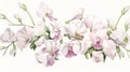 Sweet Pea Bouquet: A Delicate Watercolor Art With Dusty White Tones Royalty Free Stock Photo