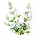 White Sweet Peas Watercolor Painting: Delicate Landscapes And Graceful Sculptures