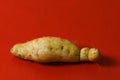 White sweet potato protein food on isolated red background