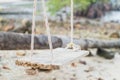 white swing on beach Royalty Free Stock Photo