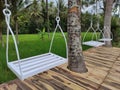 The white swings in the middle of rice field for relax and relieve stress