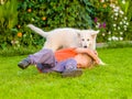 White Swiss Shepherd`s puppy and kid playing together on green grass Royalty Free Stock Photo