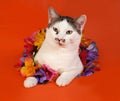 White and tabby cat wrapped Christmas tinsell lying on orange Royalty Free Stock Photo