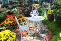 White table and chair with sunshine in nature flower garden on background Royalty Free Stock Photo