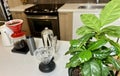 professional coffee shop On white table in kitchen there are different devices for brewing craft coffee Nearby grows a