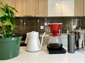 professional coffee shop On white table in kitchen there are different devices for brewing craft coffee Nearby grows a