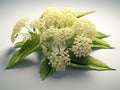 White table with vase of flowers on it. There are several different types of green leaves in vase, including some large Royalty Free Stock Photo