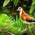 The White-tailed Crake in a park in Kuala Lumpur, Malaysia generative AI