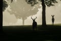 White-tailed deer buck on foggy morning Royalty Free Stock Photo