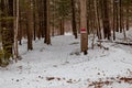 White-tailed deer tracks going in and out of private wooded land with posted no hunting or trespassing sign