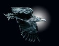 The white-tailed eagle flies at night against the backdrop of the moon. Monochrome graphic drawing with an eagle.