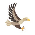 White-tailed eagle icon vector illustration. Cartoon style Royalty Free Stock Photo