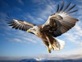 White Tailed Eagle  Made With Generative AI illustration Royalty Free Stock Photo