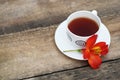 White Tea Cup Orange Red Flower Alstromeria Astromeria over Rustic Wooden Background. Copy space Royalty Free Stock Photo