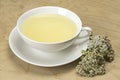 White tea dish and herbal tea Royalty Free Stock Photo