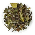 White Tea Pai Mu Tan Royalty Free Stock Photo