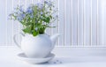 White teapot and blue forget-me-not flowers, white vintage background. Romantic spring composition. Copy space Royalty Free Stock Photo