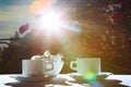 White teapot, two cups and sun. Garden party. Royalty Free Stock Photo