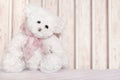 White teddy bear