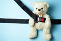 White teddy bear with car seat belt, close-up Royalty Free Stock Photo