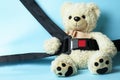 White teddy bear with car seat belt, close-up Royalty Free Stock Photo