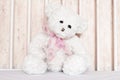 White teddy bear closeup