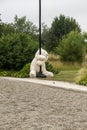 White teddy bear, doing the zip line, in the middle of nature Royalty Free Stock Photo