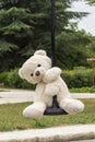 White teddy bear, doing the zip line, in the middle of nature Royalty Free Stock Photo