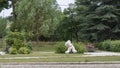 White teddy bear, doing the zip line, in the middle of nature Royalty Free Stock Photo