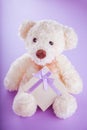 Teddy bear with a gift box for Valentines day on purple background Royalty Free Stock Photo