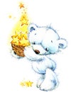 White Teddy bear and night stars background. watercolor