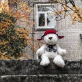 A white teddy bear in a red hat and scarf sits on a stone staircase against the background of a white brick house and smiles. Royalty Free Stock Photo