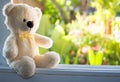 White Teddy Bear Sitting Alone On White Window,vintage