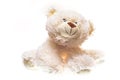 White Teddy bear soft toy.