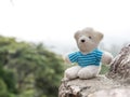 White teddy bear on stone The background is a forest and mountains. copy space for text. Valentines day, love concept and love